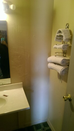 Combined shower/bathtub