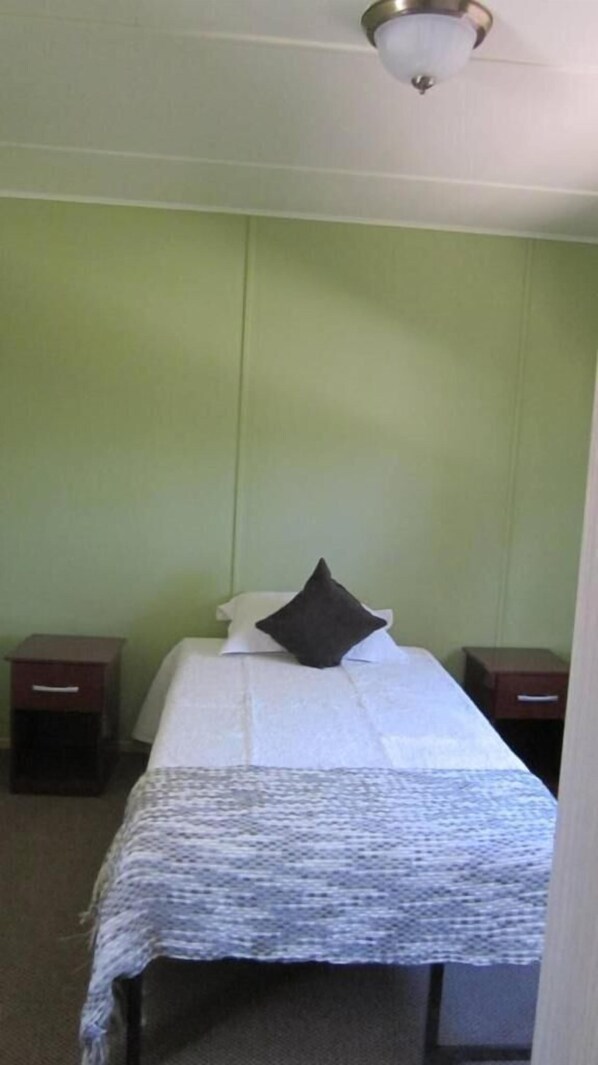 A single bed with a white sheet and a dark pillow in a room with green walls and a white ceiling light.