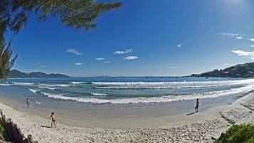 Perto da praia, guarda-sóis
