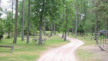 BBQ/picnic area