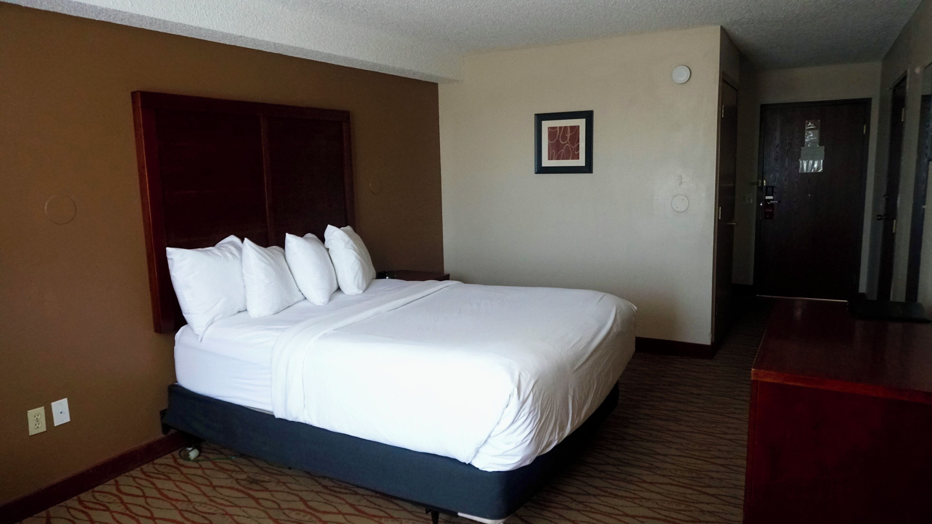 A hotel room with a bed, a headboard, a framed picture on the wall, and a door.