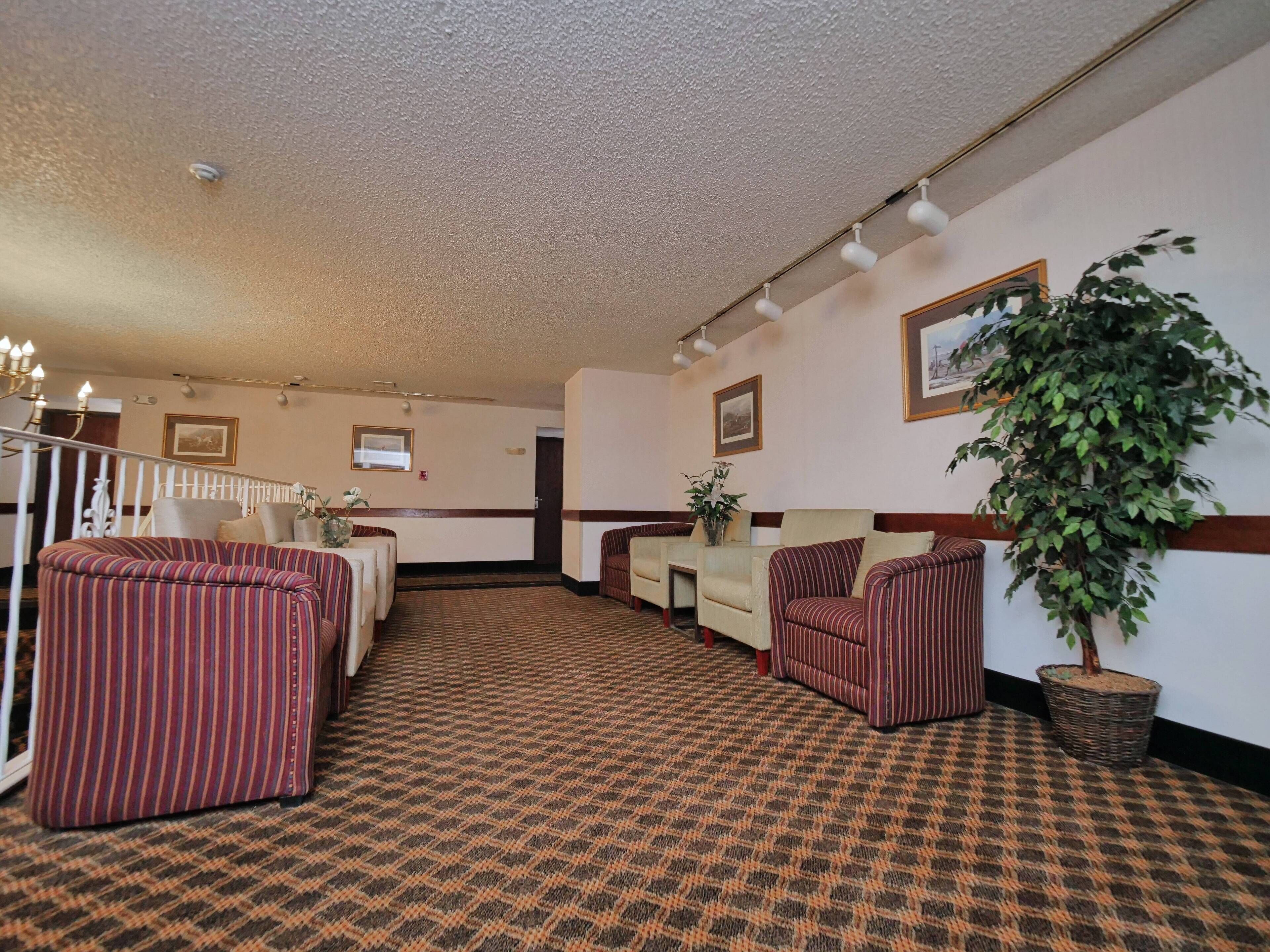 A hotel lobby with striped sofas, a patterned carpet, and a large potted plant.