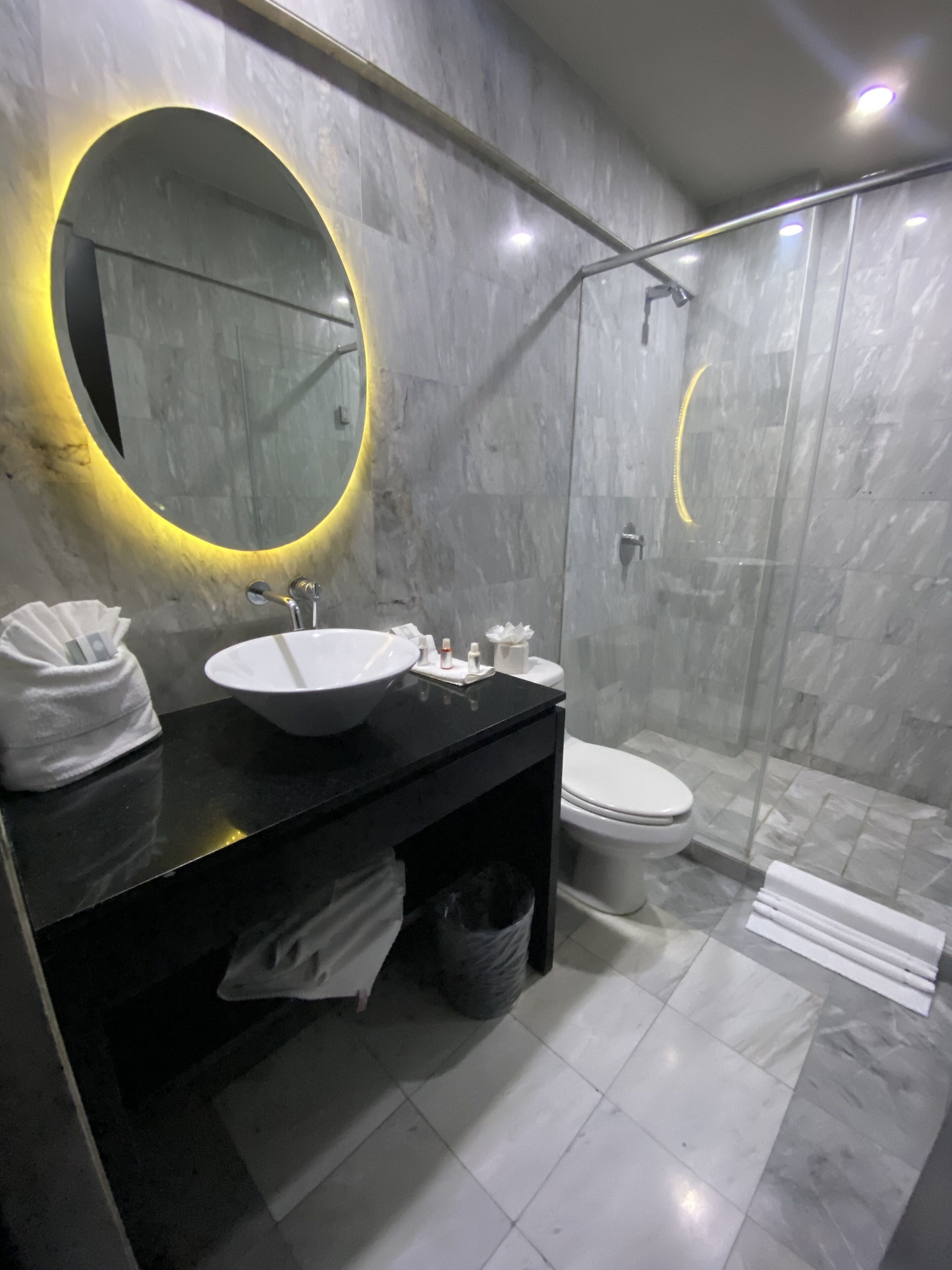 Suite estándar | Baño | Ducha, secador de pelo, toallas y jabón