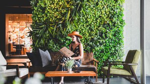 A woman sitting on a sofa in a room with a large green plant wall, a wooden coffee table, and a window. - THA City Loft by TH District (Bangkok)