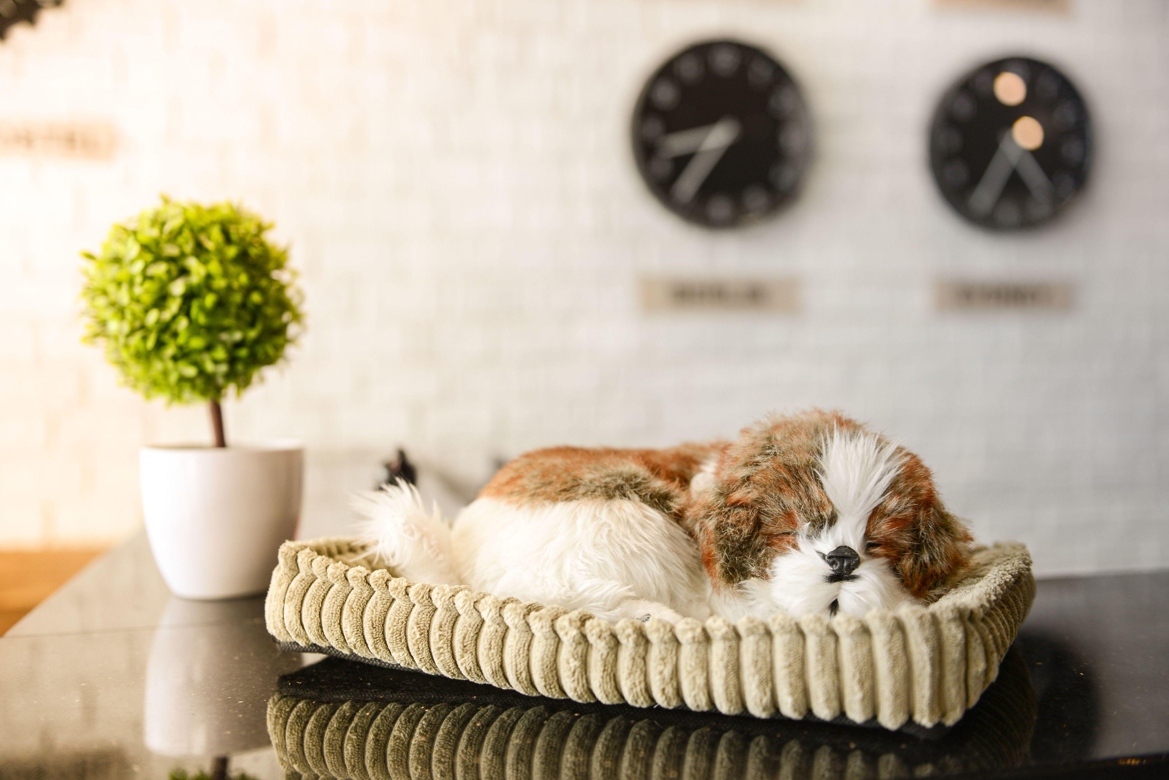 Photo - The Cube Hostel Silom