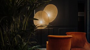 Um quarto com piso de madeira escura, uma grande planta em vaso e duas cadeiras laranja.