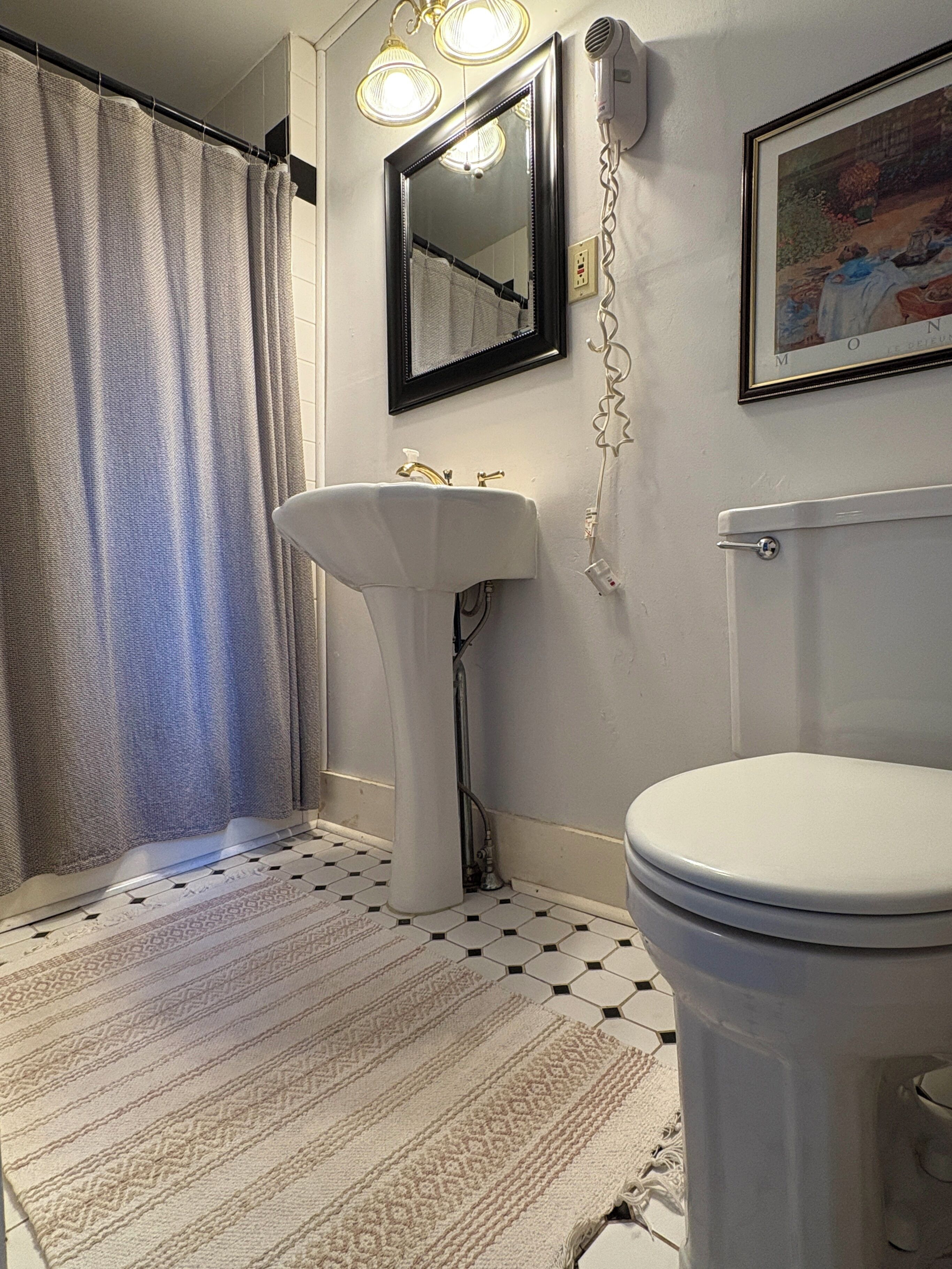 A bathroom with a white sink, a toilet, a shower curtain, and a framed painting on the wall.