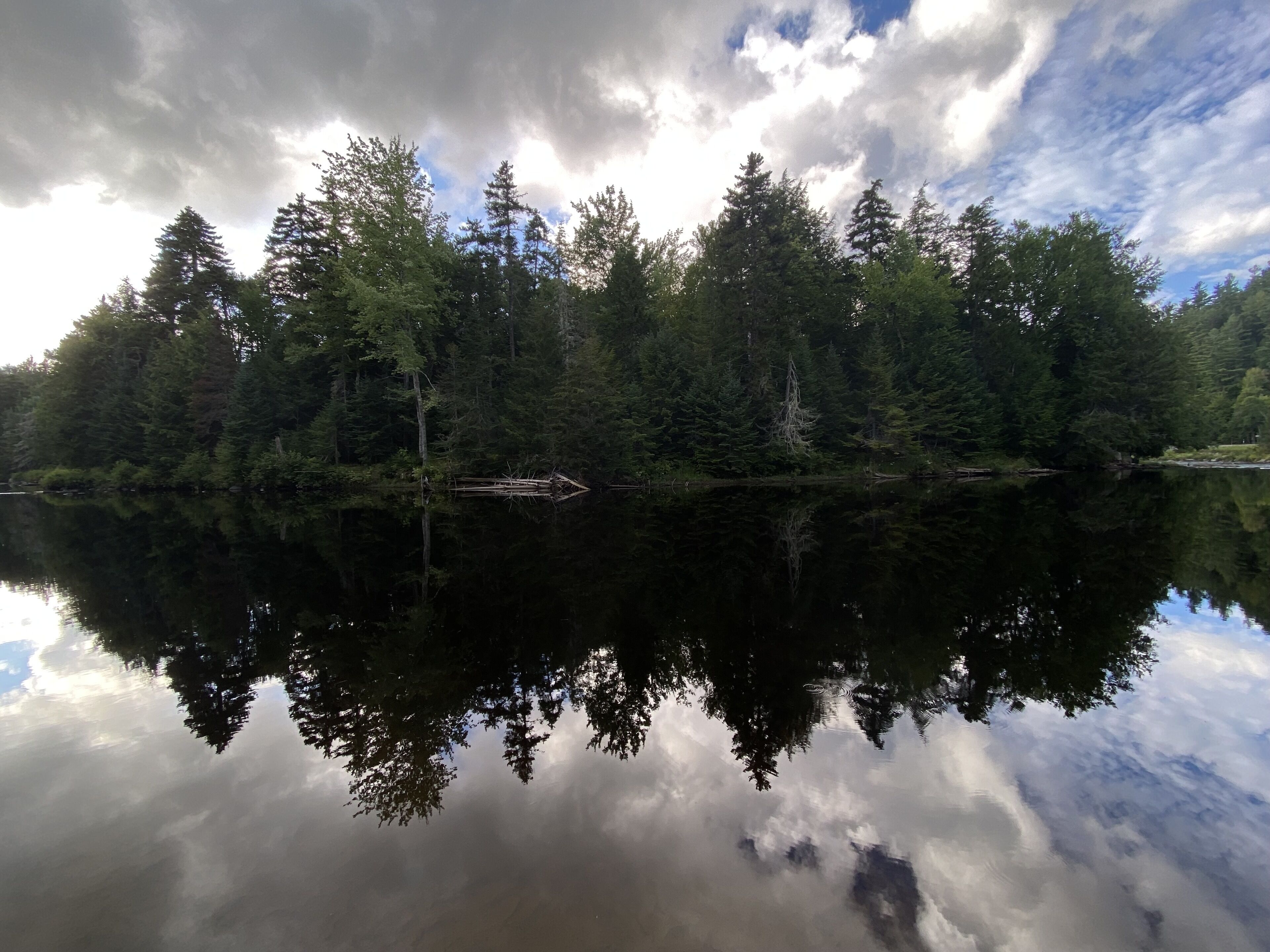 Natural pool