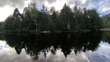 Natural pool