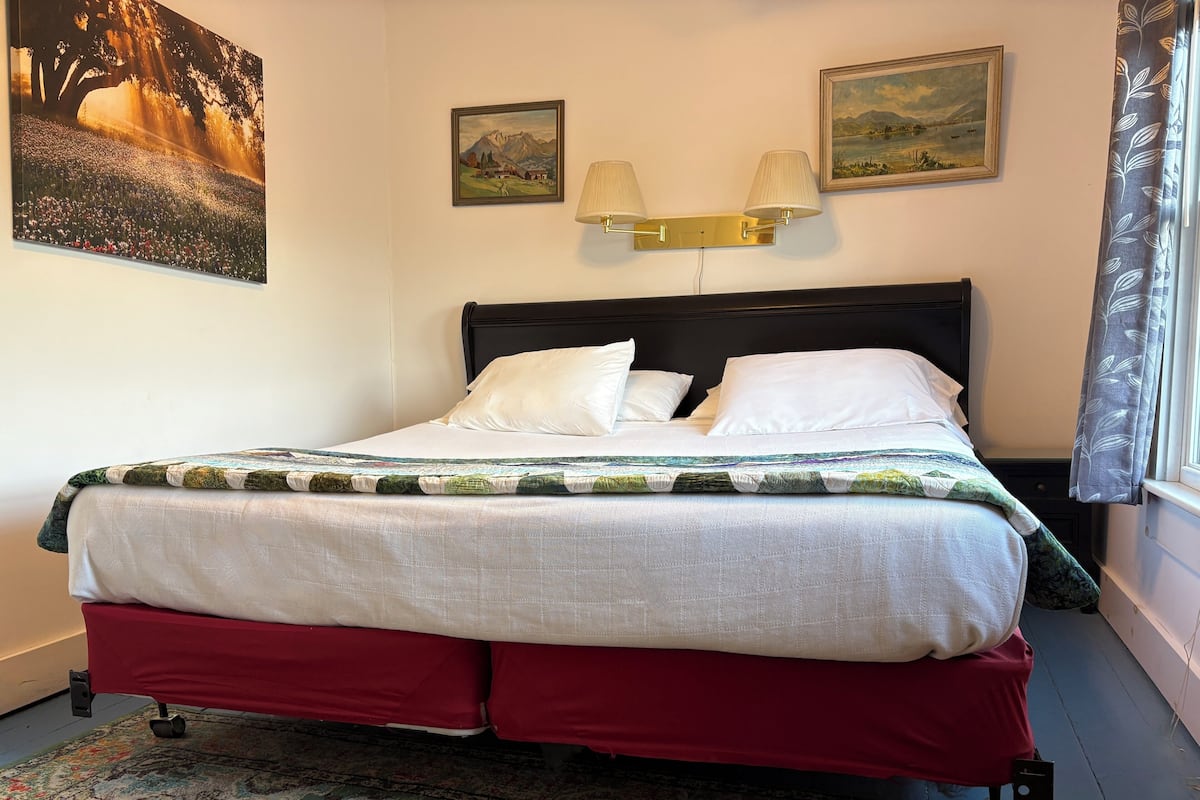 Deluxe Suite | 1 bedroom, hypo-allergenic bedding, down comforters