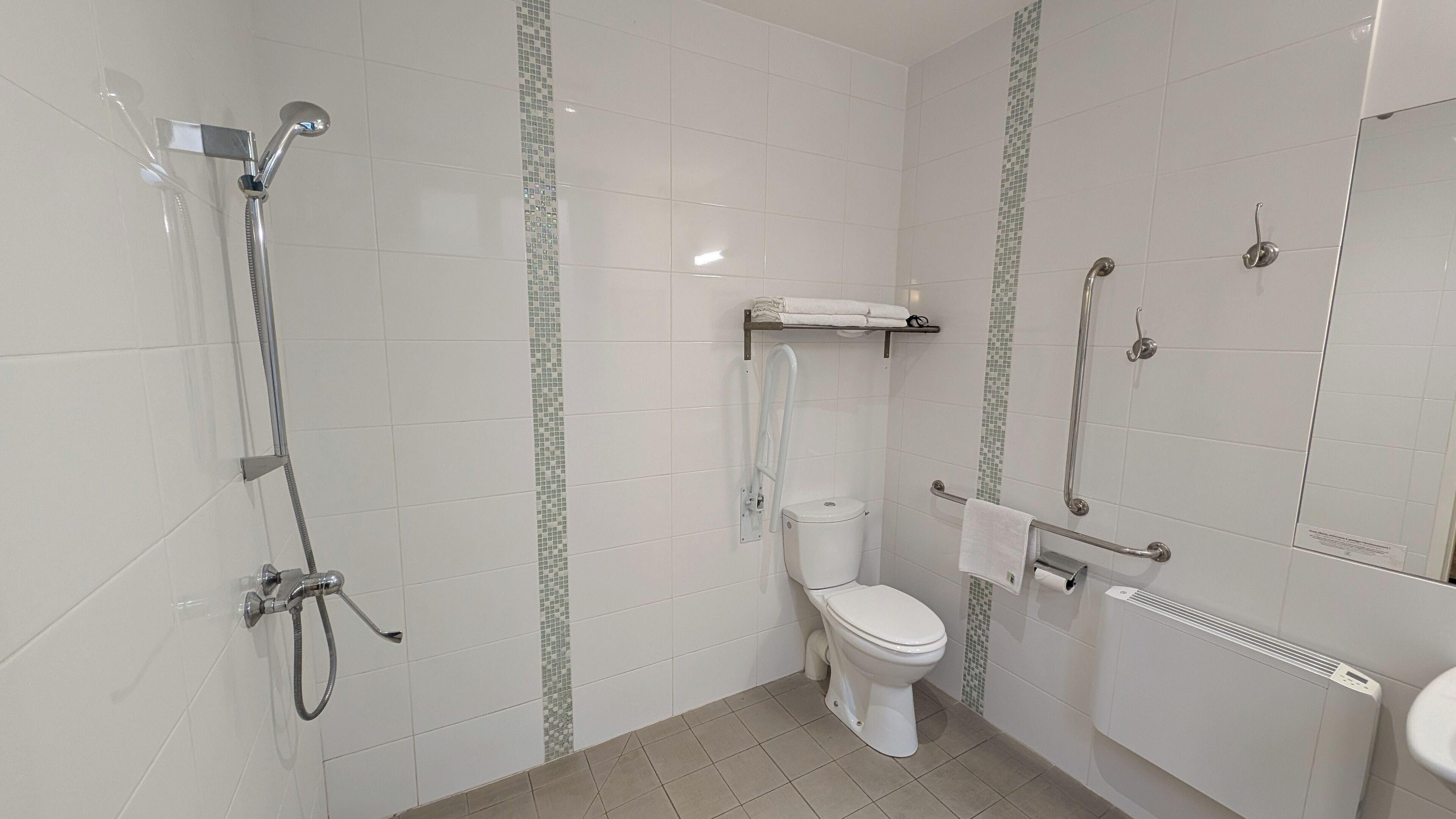A bathroom with a shower, toilet, and handrails.