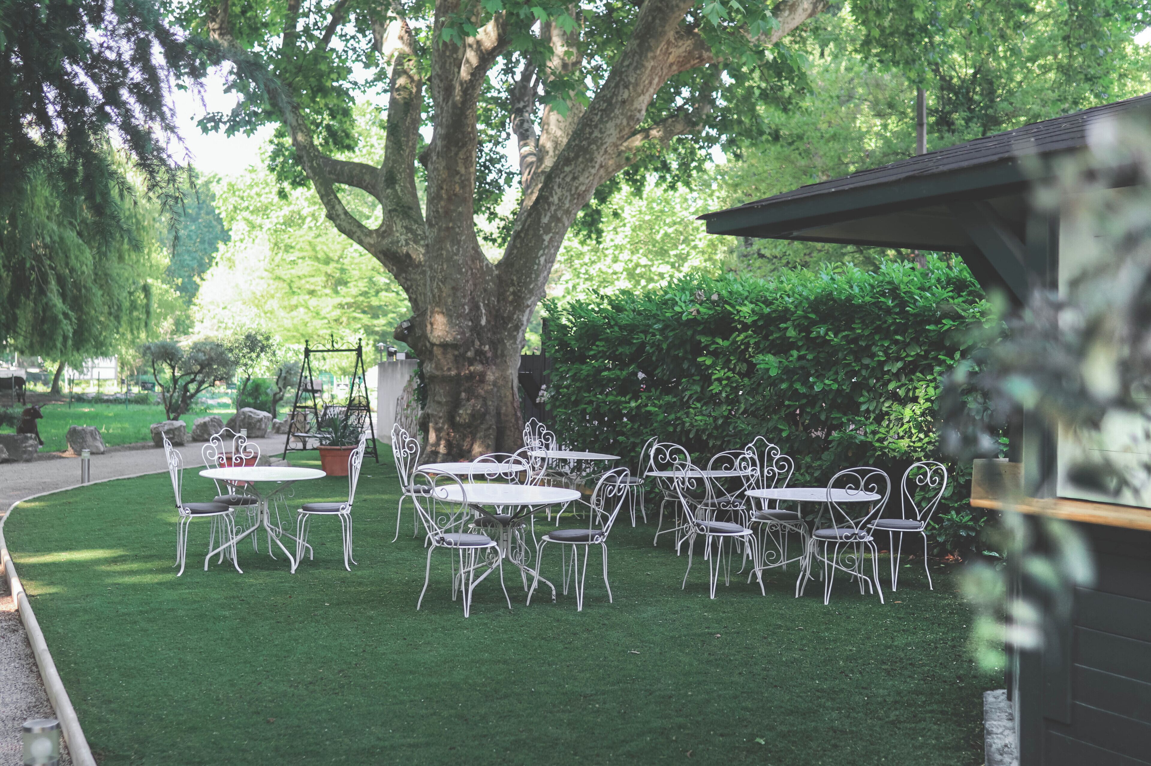 An outdoor seating area with white metal tables and chairs, surrounded by lush greenery and a large tree.