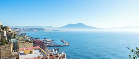 Apartment (3 Bedrooms) | Terrace/patio