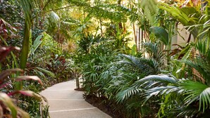 A pathway surrounded by lush tropical plants.