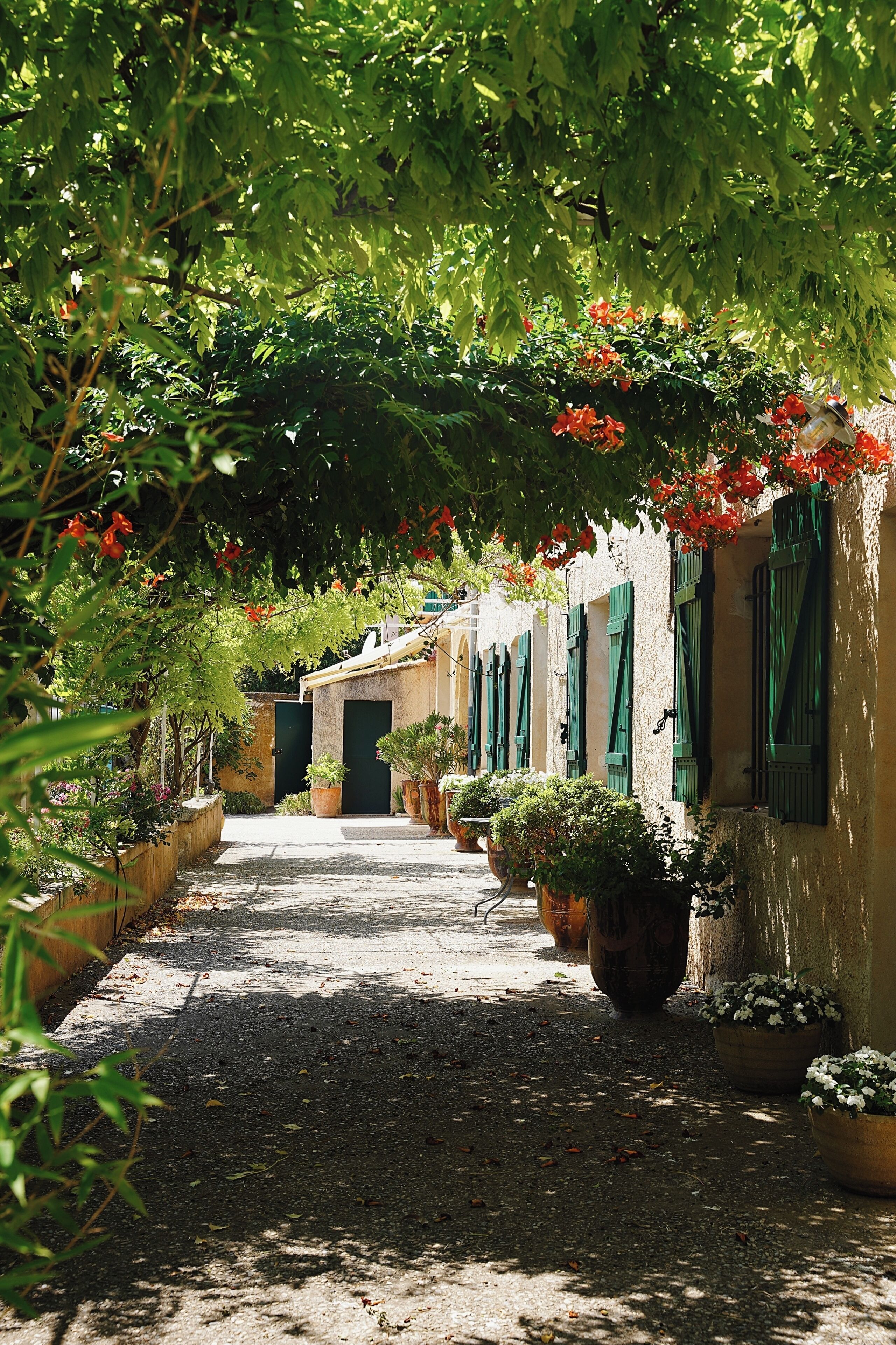 Terrein van de accommodatie