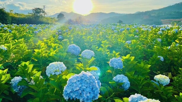 숙박 시설 구내