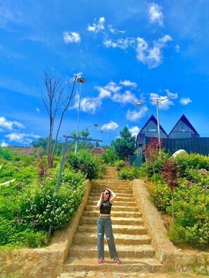 Property grounds - DA LAT THIEN VUONG HOMESTAY (Lac Duong)