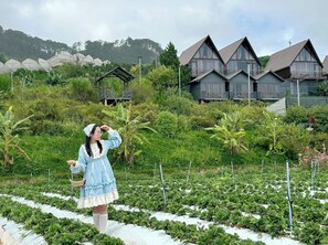 Overnattingsstedets uteområder