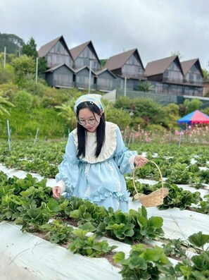 Property grounds - DA LAT THIEN VUONG HOMESTAY (Lac Duong)