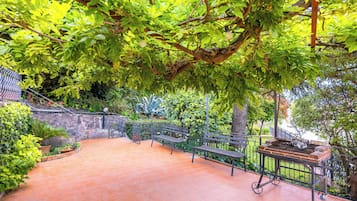 House (2 Bedrooms) | Terrace/patio