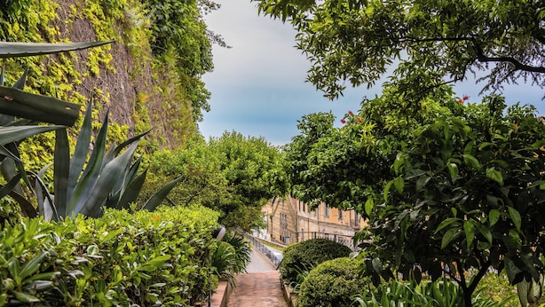 Un sentier bordé d’une végétation luxuriante, avec un bâtiment en arrière-plan.