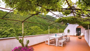 Une terrasse avec une table et des chaises, un cactus et une vue sur une colline verdoyante.