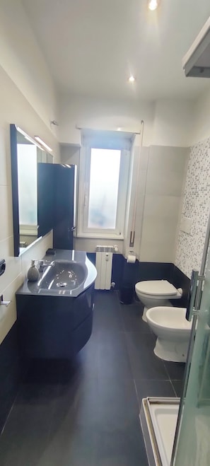 Hair dryer, bidet, towels, soap