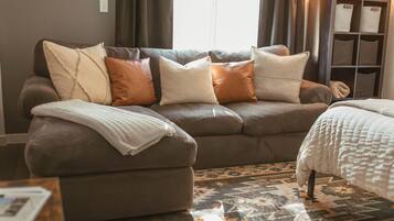 TV, fireplace, books