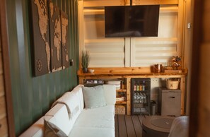 TV, fireplace, books