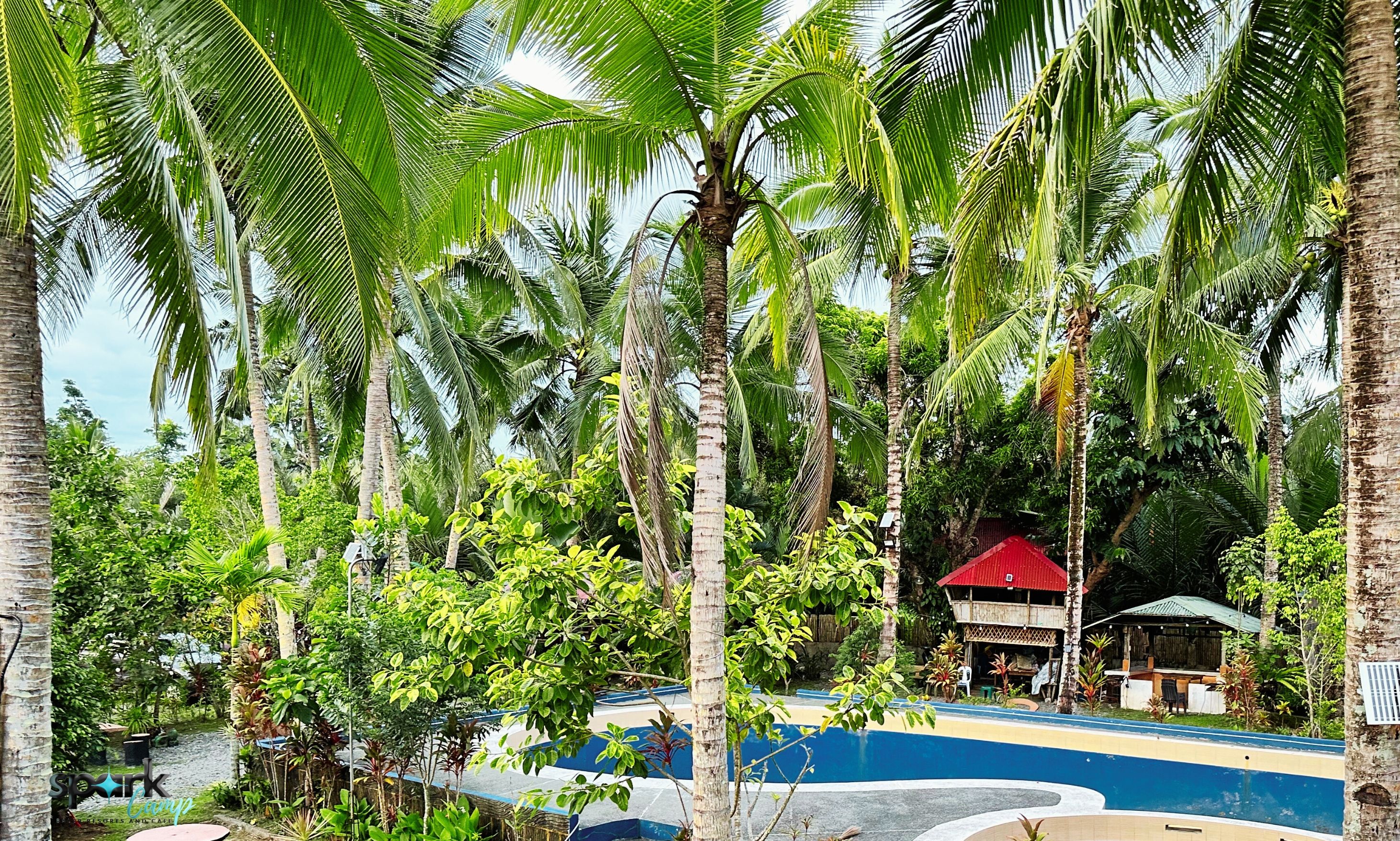 Un complexe hôtelier tropical doté d’une piscine, de palmiers et d’un bâtiment au toit rouge.