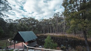 A cabin with a metal roof and wooden deck, surrounded by a pond and dense trees. - La Moneta Retreat – A Sanctuary for Healing & Hope -Tranquil Hillside Haven (Dean)