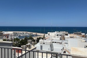 Vista costera con un puerto deportivo, edificios blancos y cielo azul despejado.