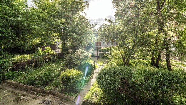 A pathway surrounded by lush greenery and trees, leading to a building with a visible entrance. - ShortStayPoland Józefitów C4 (Kraków)