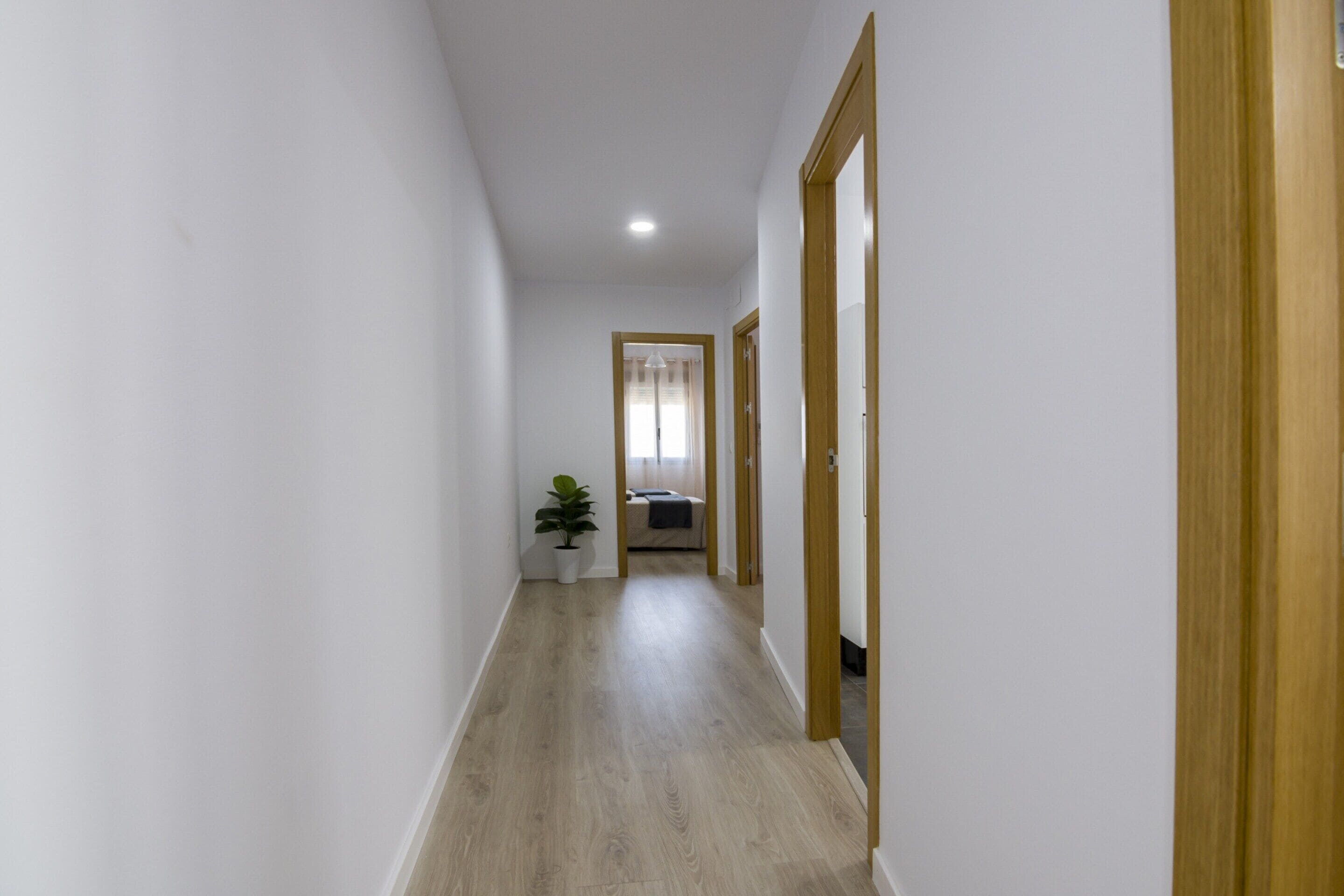 Apartment | Interior