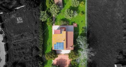Casa degli Ulivi - Apartments by Wonderful Italy