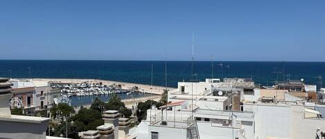 A coastal view with a marina, white buildings, and a clear blue sky.