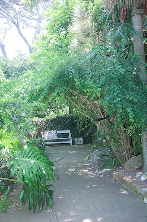 Garden view
