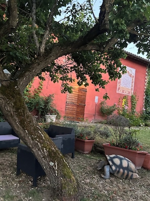 Parco della struttura