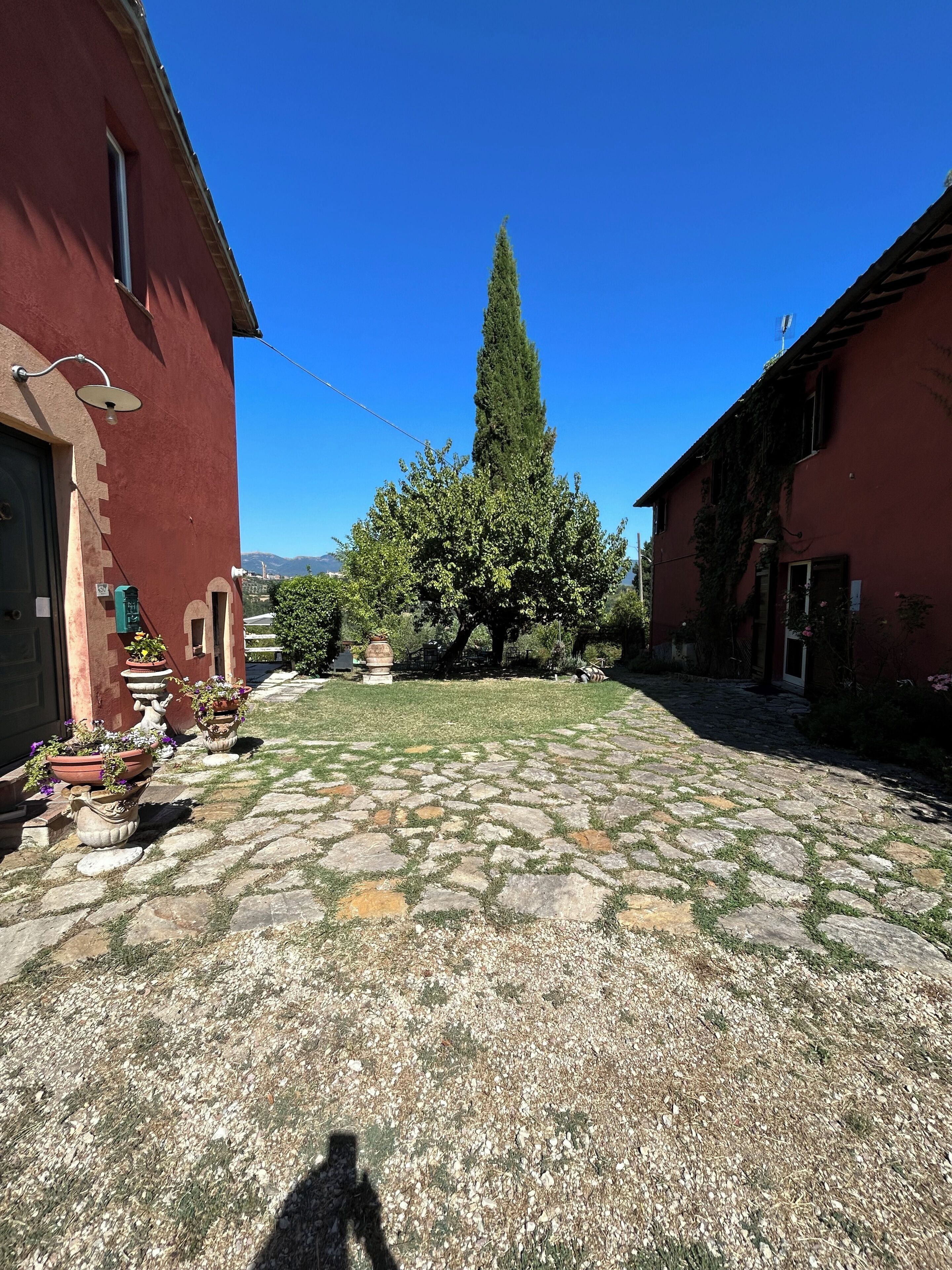 Un patio con un sendero adoquinado, un árbol alto y edificios de color rojo.
