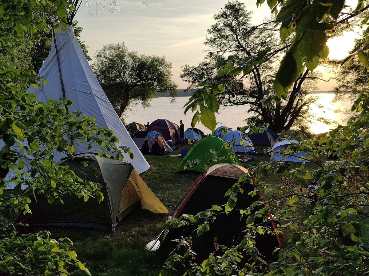 Värdens profilbild