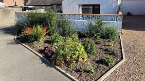 A residential garden with a variety of plants and a white house with a tiled border. - Costal Cottage -boddam-sleeps6- Pet Friendly (Peterhead)