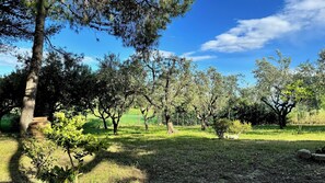 Parco della struttura