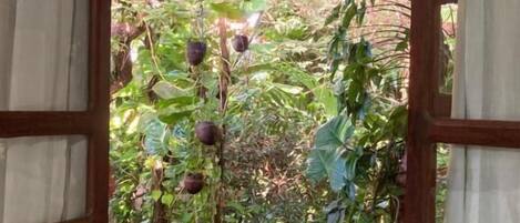 Firemannsrom – familie, hageutsikt | Minibar, skrivebord for bærbar PC og blendingsgardiner