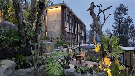 Bâtiment design. Jambuluwuk Bromo Poshtel