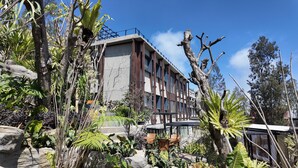 A modern building with a balcony and a garden area with various plants and a seating area.