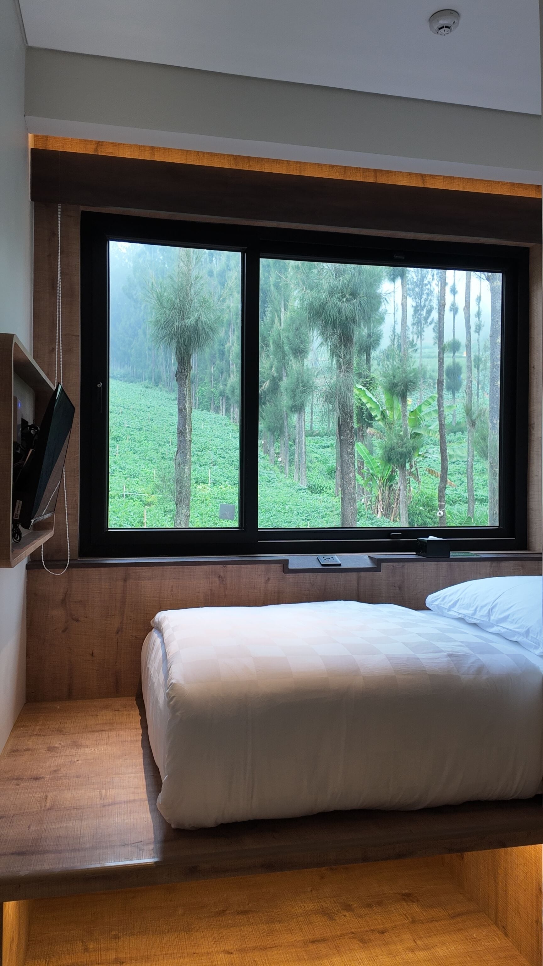 Un dormitorio con un amplio ventanal con vistas a una zona boscosa.