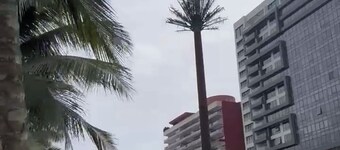 Sublime T2 Le Plateau Lagoon view Bright Large Ventilated