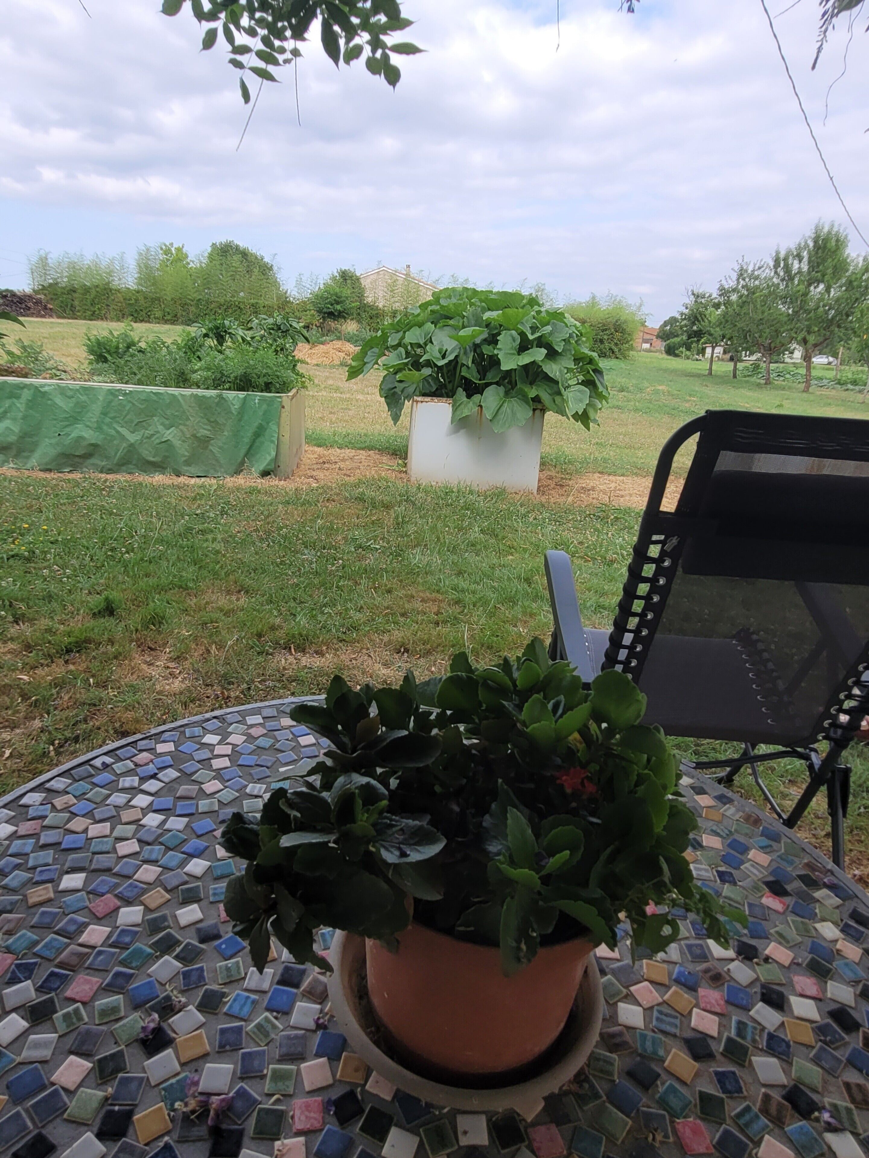 A round table with a mosaic tile top, a potted plant, and a black chair with a mesh backrest.
