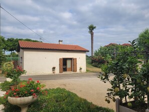 Esterni