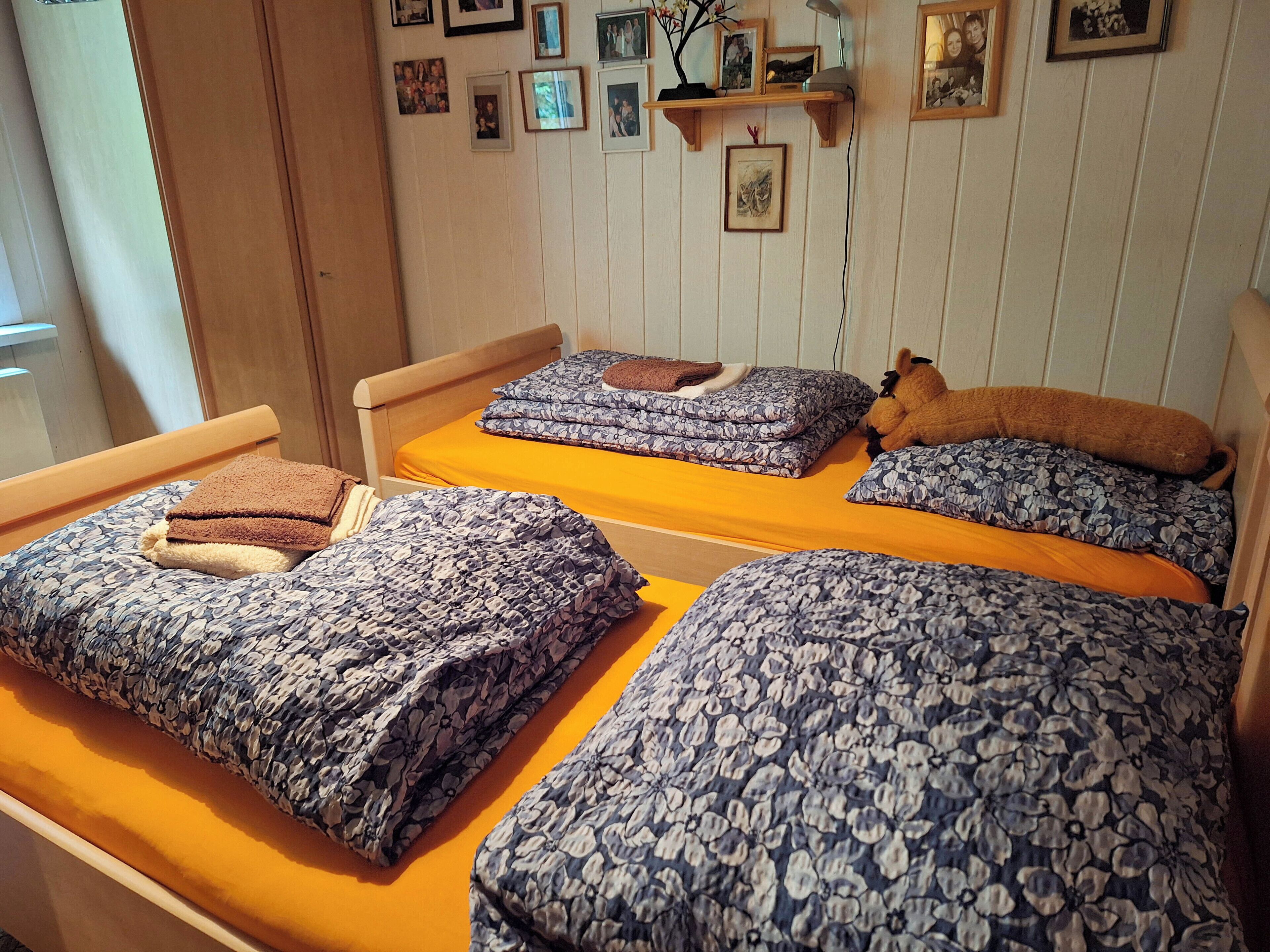 A bedroom with two beds, each with floral-patterned bedding and pillows. There are wall-mounted shelves with framed photos and a small plant.